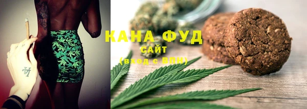 гидра Богородицк
