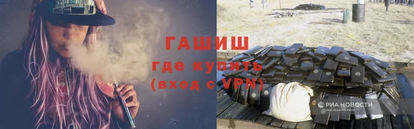 сатива Беломорск