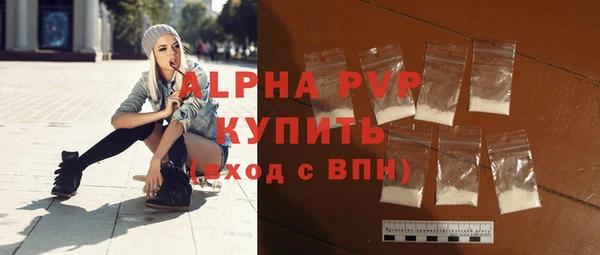 гидра Богородицк