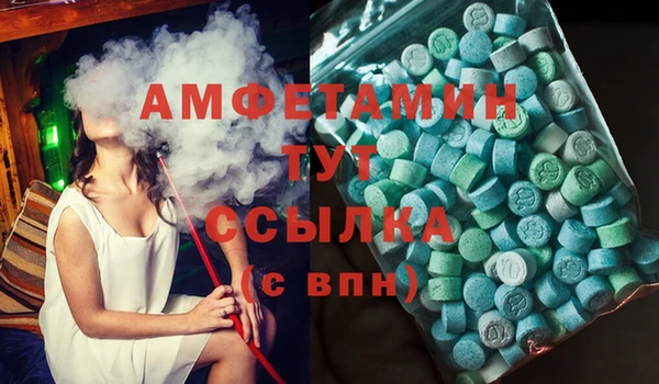 гашик Богородск