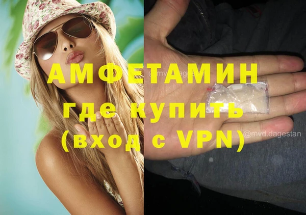 сатива Беломорск