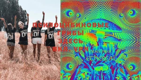 сатива Беломорск