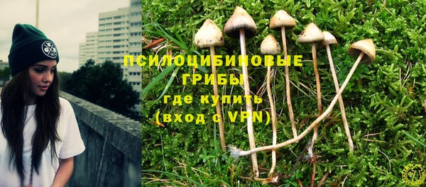 мяу мяу мука Белокуриха