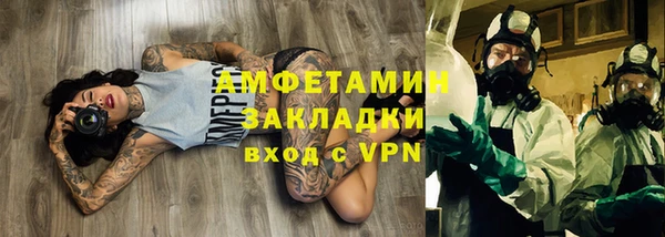 гидра Богородицк