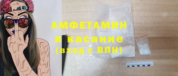 сатива Беломорск